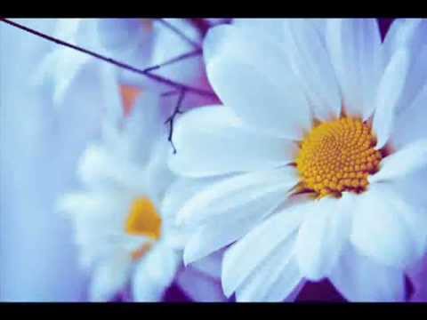 Villi Dula - Mana ta de ceruri prinsa... ( do Ceu, Sua Mão me Agarrou... )