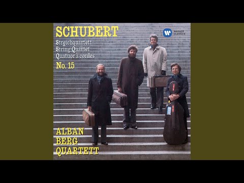 String Quartet No. 15 in G Major, Op. Posth. 161, D. 887: I. Allegro molto moderato