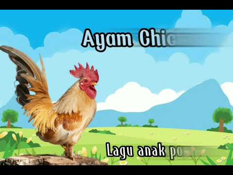 , title : 'Lagu Ayam Chicken part 1 | Lagu Anak | Lagu populer | Hewan bahasa Inggris'