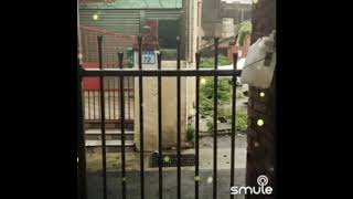 Download lagu Kelingan wong tua mp3 Download lagu Kelingan wong tua mp3