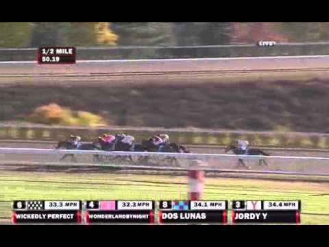 2010 Darley Alcibiades Stakes