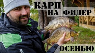 Фидерная приманка для ловли сазана осенью