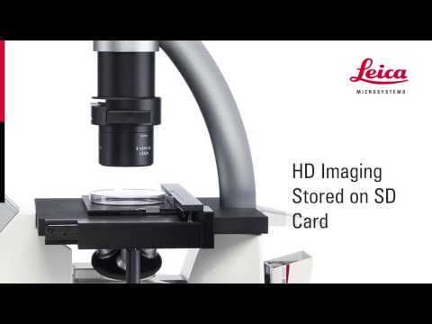 Cell Culture Microscope