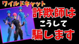 【注意喚起】ワイルドキャット詐欺に遭いました【フォートナイト】