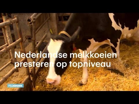 , title : 'Koe Dora geeft superveel melk: ‘Net een topsporter - RTL NIEUWS'