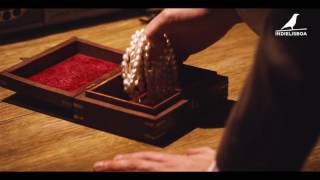 Sessões Especiais - O Cravo, António Faria