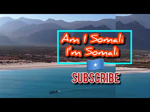  Am I Somali || I’m Somali Not A Clan New Best Song 2026 Music #newsong #foryou #2026  @FarassMedia 
