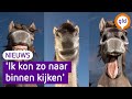 Nijmeegse fotograaf is finalist Comedy Wildlife Photography Awards