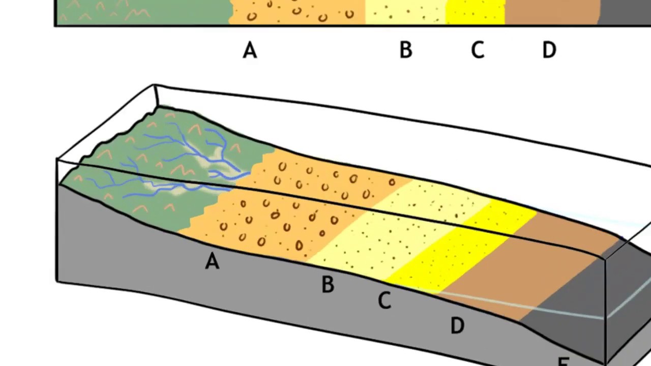 Walther's ideas about sedimentary facies