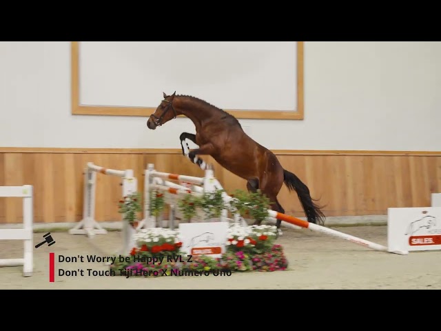 Auction video