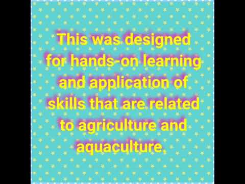 Empowerment Technology Activity 3.2