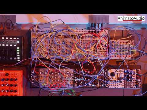 Generative Soundscapes with Buchla Tiptop Audio Series 200 [4K + HIFI]