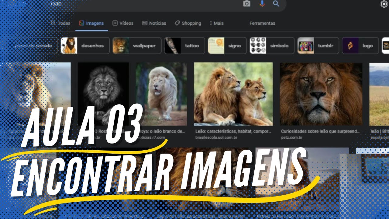 ENCONTRANDO IMAGENS DE ALTA QUALIDADE | QUADROS DECORATIVOS - AULA 03