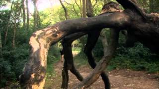 vexed s01 episodio 3 sub ita