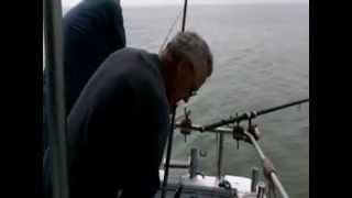 preview picture of video 'Motonave Andrea Doria Porto Garibaldi pesca allo sgombro.mpg'