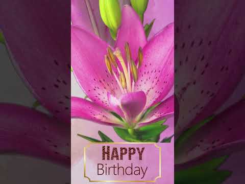 💖 Happy Birthday!💖#birthday #birthdayanimation #birthdaymessages #birthdaycelebration