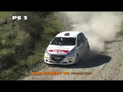 RALLY DELLA VAL D'ORCIA 2016 DALLAMANO ZORZI PEUGEOT 208