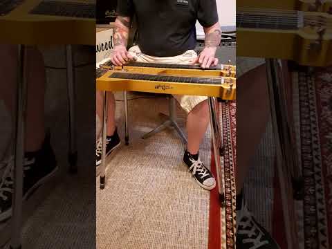 Steel Guitar Doubleneck image 16