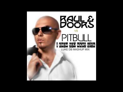 Roul & Doors Vs Pitbull - I Know You Want Gita (Luke DB Mash Up Mix)