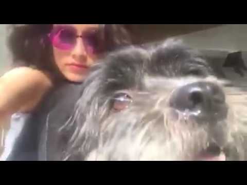 Shraddha with her Dog!