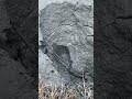 channel