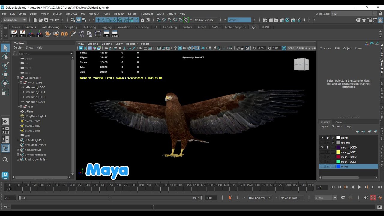 写实动画金鹰 3D 模型