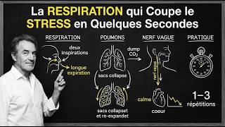 Vidéo Le Soupir