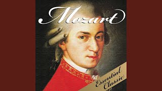 Eine Kleine Nachtmusik : 3rd Movement