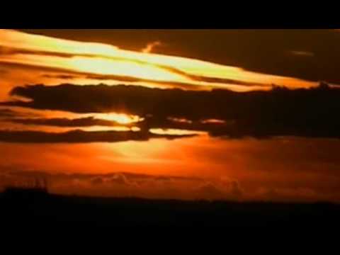 Charlie Brooker's Screen Wipe S03E01