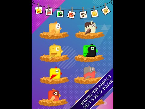 Square Bird Video