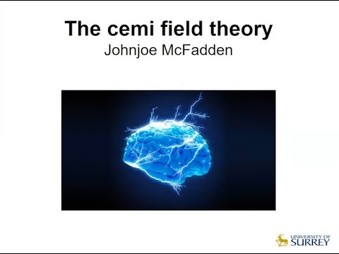 The Cemi Field Theory with John Joe McFadden