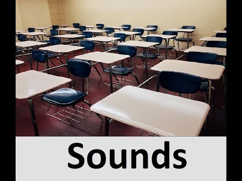 Classroom Sound Effects All Sounds
