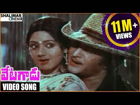 Vetagadu Movie || Aku Chaatu Pinda Thadise Video Song || Sr. NTR, Sridevi || Shalimarcinema