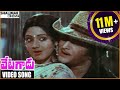 Vetagadu Movie Aku Chaatu Pinda Thadise Video Song Sr NTR Sridevi Shalimarcinema
