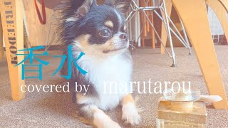 Download lagu 香水/瑛人　(covered by marutaro )歌ってみた【丸麦チャンネル】 mp3