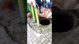 Download lagu sembelih Sapi Qurban 2025 mp3