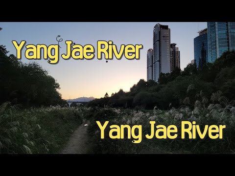 [4k] Rio YangJae em GangNam em Seul Nature, bom local para fotos!