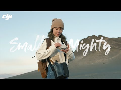 DJI Mini 2 - Small but Mighty