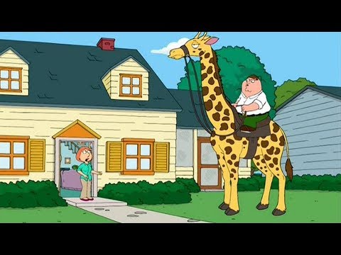 Peter has New Pet