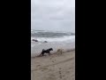 IMG 4084