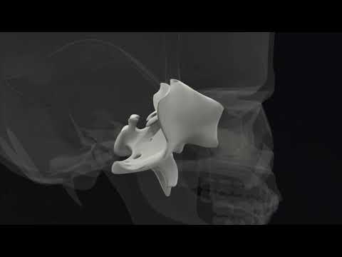 Sphenoid Hold -  Lyons Institute Biodynamic Craniosacral Therapy