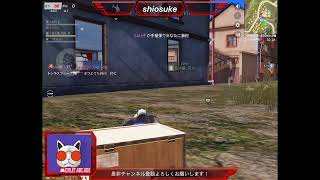 ゲリラ配信