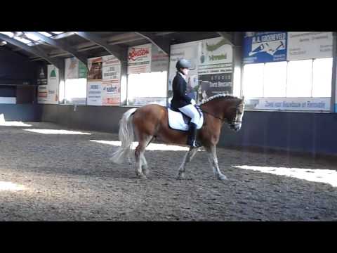 Xantos 1e wedstrijd klasse B proef 3