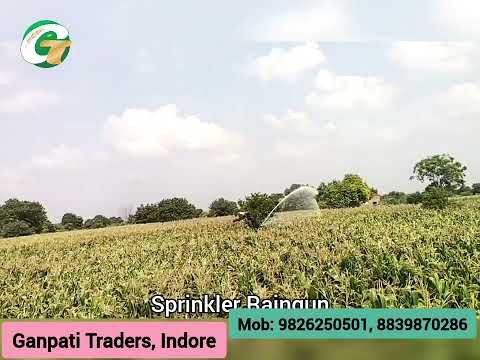 Automat irrigation raingun pelican