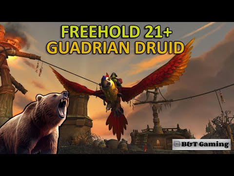 Guardian Druid | Mythic plus | Freehold 21+
