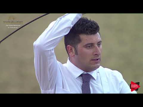 N.272 HESSON AL SHAQAB - 2019 Qatar Individuals - Stallions 4 to 6 Years Old (Class 10B) .mp4