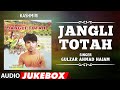 ► JANGLI TOTAH (Audio Jukebox) | GULZAR AHMAD HAJAM | T-Series Kashmiri Music