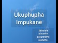 Ukuphupha Impukane