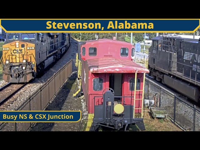 Live webcam view of Cámara del Museo del Depósito de Stevenson