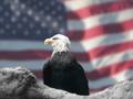 MEMORIAL DAY - YouTube